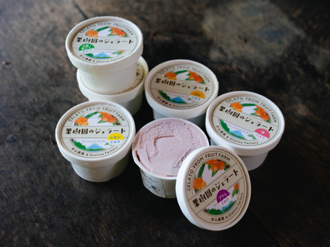 新発売　果樹園のジェラート『杉山農園おすすめセット』１２個入り