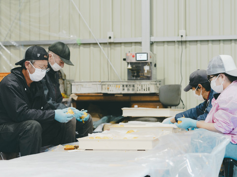 プレミアム干柿SHUKU「西条柿」8玉