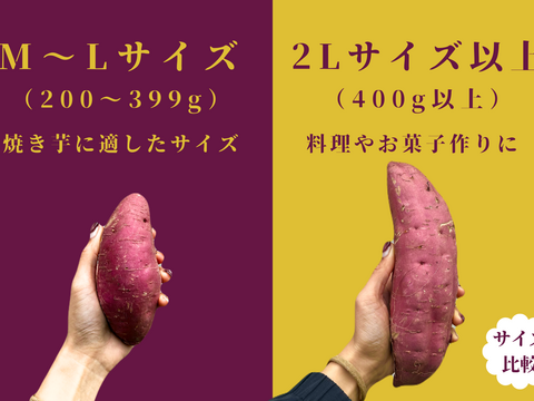 《3ヶ月熟成》ねっとり甘〜い紅はるか2L以上／10kg