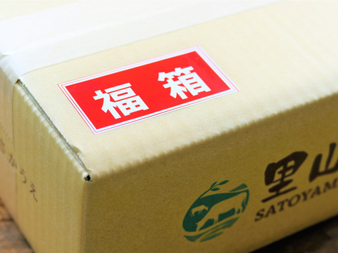 【おひとり様2セットまで♪】里山牛 訳あり福箱 副産物部位（ホルモン等）限定