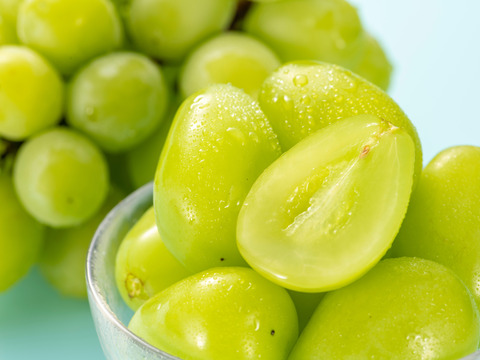 大切な方へ贈る、晴れの国からの甘美な宝石！ギフト用『岡山県産シャインマスカット』1.2kg