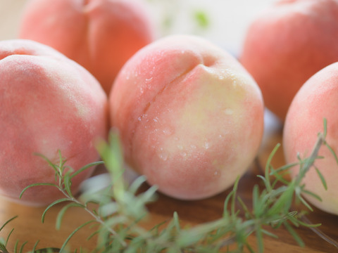 【今が旬！】山梨桃専業農家が暑い夏を届けます!　食べチョク桃　1.2kg