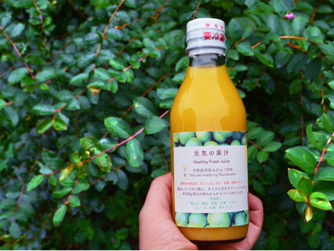 【自然栽培青みかん100%】3本セット 『元気の果汁』200ml ※お得なセット販売あり 予約開始