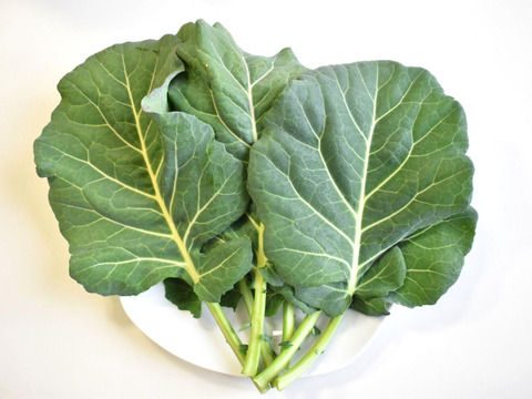 和らぎ農法　ケール（1袋）