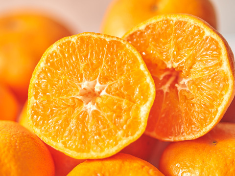 箱込約5㌔　甘平　愛媛県鉄板アイテム