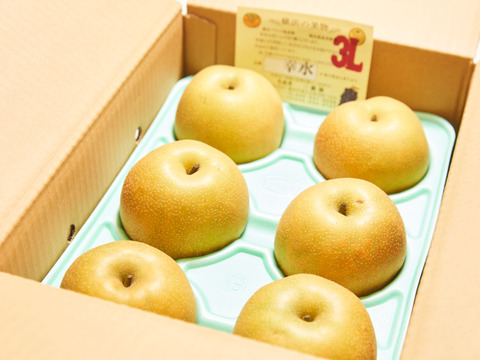 果汁が滴り落ちる、浜なし３キロ箱(5〜8玉入り)