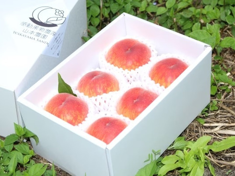 ６月予約【糖度15度以上保証】感動桃”まるでスイーツ” 約600g3-6玉入