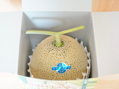 今季最終便【秋作】秀品マスクメロン1玉(1.6kg以上)