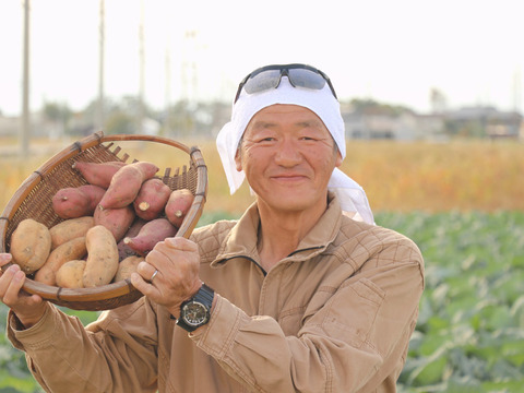 《予約販売》【熟成芋】希少な幻の安納芋🍠濃厚な甘味で蜜溢れ出る焼き芋が簡単に🍯プチサイズ「安納黄金」（4㎏）ひとつひとつ紙に包んで丁寧な包装で贈り物にも喜ばれます🎁熨斗OK【冬ギフト】お歳暮にも