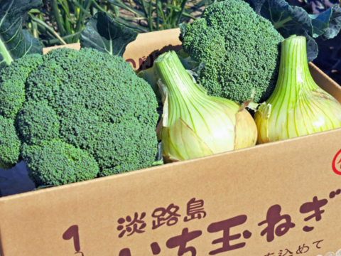 ブロッコリー2株×淡路島新玉ねぎ10個セット【野菜ソムリエサミット金賞🏆】