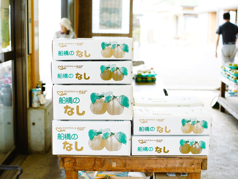 筑水 ４kg 小玉梨　ご家庭向け【約24個】千葉県船橋市のあま～い"完熟梨"！ "朝どれの美味しい”なし”を直送いたします”