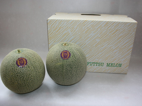 【夏ギフト】甘さスッキリ！ 千葉県富津市産タカミメロン 1.2～1.5kg/個 ×2個入り