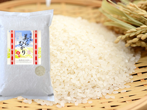 令和7年産【白米10kg】残留農薬ゼロ！ 石垣島産 美らひかり(5kg×2)