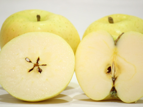 【予約開始】１個１００万円の高級リンゴ！限定１０セット！！大切な方へのギフトに最適！青森県弘前市のとんがり▲まさひろ林檎園から