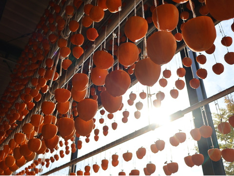 【1個200円以下！】山梨県産 スーパーフード！枯露柿24個入(在庫限りで終了)