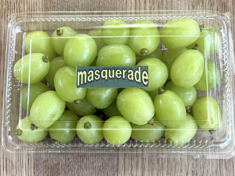 ブドウ粒売りmasqueradeマスカレード(マスカット系３種食べ比べ) 500ｇ１P