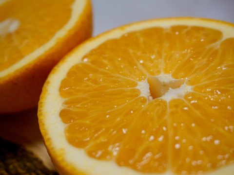 【母の日ギフト】『粒が際立つ木成り八朔』約10～20玉入りサイズ混合