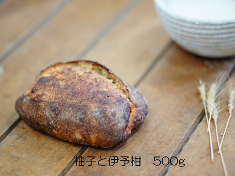 北海道十勝から自然に寄り添ったパンとチーズをお届け！風土火水(ふうどかすい）BOX（D）　【オーガニックパン・チーズセット】