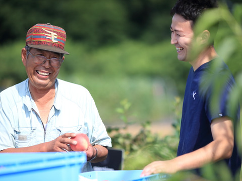 《完熟 昂紀（こうき）1.5kg程度》甘さと果汁あふれる早生の優良希少品種