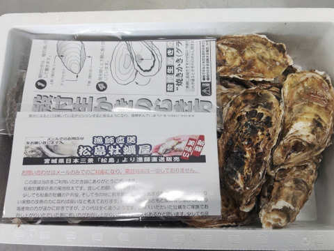 【水産庁補助事業　送料無料】🦪 生食用３ｋｇ（18~48粒） 殻付き 牡蠣 牡蛎 殻付き牡蛎 kaki カキ 松島牡蠣屋 生牡蠣にも、BBQに最適🔥 海産物 オイスター oyster A