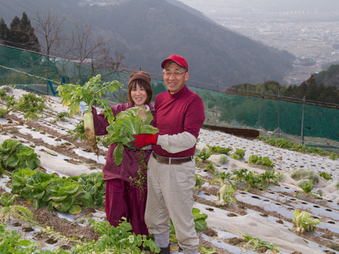 【すぐ出荷出来ます】
春まで保存でます。秋の新じゃが
【おいしさぎっしり　新じゃが芋】
６０サイズ箱詰め　２Ｋｇ以上
畑から直送　　土付きですので保存が利きます