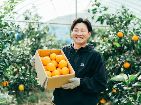 【数量限定】とろけるゼリー食感！段畑まどんな (2キロ ご家庭用) 【冬ギフト】段畑マドンナ(紅まどんなと同品種)