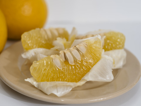 【訳あり】河内晩柑 2kg【ほのかな甘みに爽やかな酸味】
