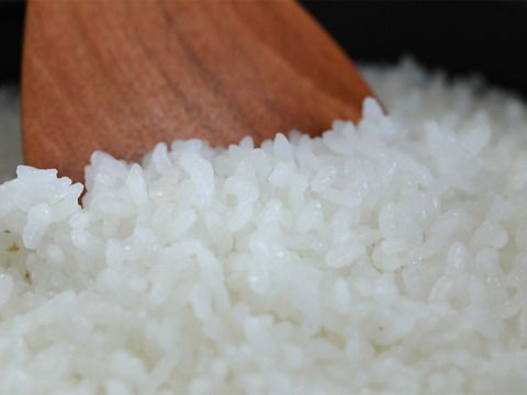 【令和7年新米】新潟県保内産幻のコシヒカリ 1.8kg