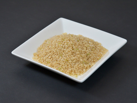 むきゃい 農薬不使用 玄米10kg 奇跡の🌾お米 10kg （玄米）30年間農薬不使用「ありがとまい