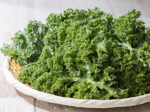 ボリューム＆栄養たっぷり！！有機ケール（カリーノ）１kg