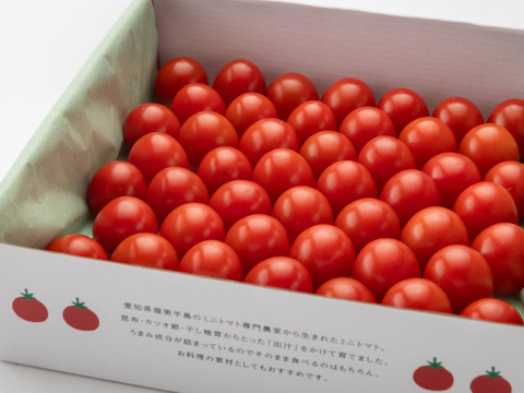 【母の日ギフト】選べる【メッセージカード付き】出汁と温泉で育てた超濃厚ミニトマト♪ギフト用1段★日時指定・贈り物