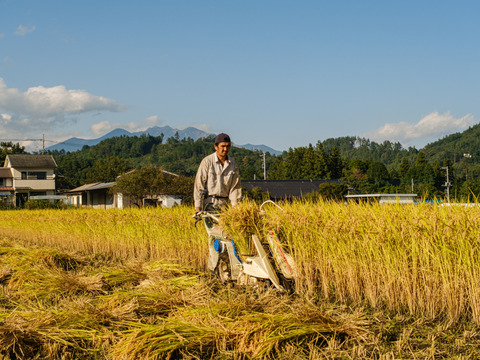 農薬不使用・化学肥料不使用　令和4年産どんぐり米　玄米（3kg）