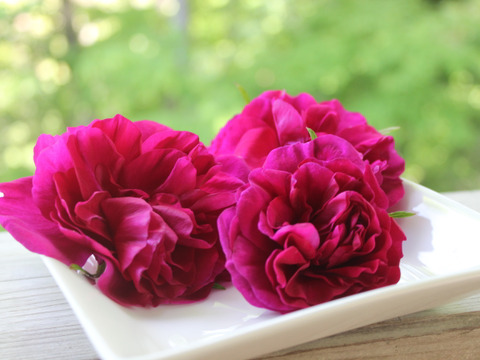 日本の原種バラ　ハマナスのジャム（５０ｇ）お試し用