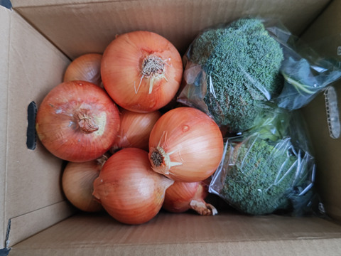 ブロッコリー2株×淡路島玉ねぎ10個セット【野菜ソムリエサミット