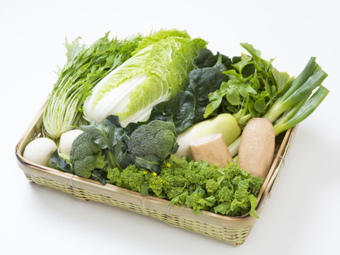 旬のおまかせ野菜セット[Sサイズ]
