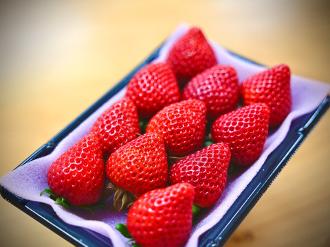 今話題のいちご「あまりん」2パックセット