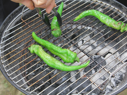 辛い実はゼロ！甘み際立つ京野菜～万願寺とうがらし１ｋｇ（３０本前後入り）