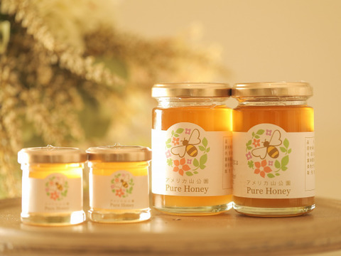 【非加熱　お花の香りたっぷり山手育ちの天然はちみつ】アメリカ山公園Pure　Honey（内容量35ｇ）