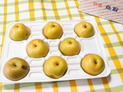 【家庭用】鳥取県大山町産『新甘泉』5kg