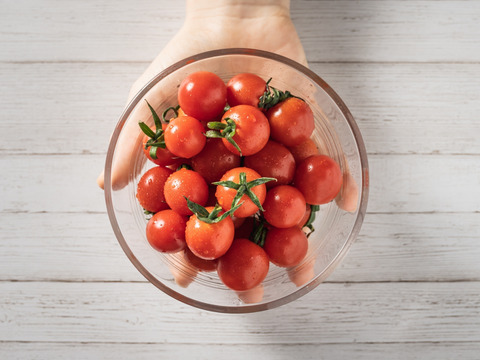 プチッと溢れる旨味🍅特別栽培「プレ宮トマト」1㎏