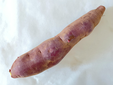 【さつまいも】坂本あずま　5kg（サイズ無選別）