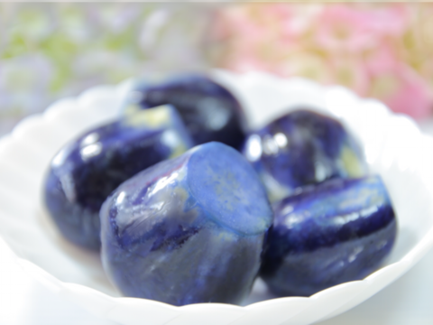 魚沼の定番！つたえおばあちゃんのなす漬け(６袋)