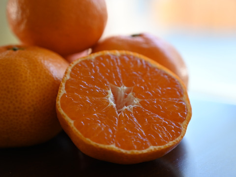 三ヶ日を代表する品種！『三ヶ日青島みかん』ご家庭用5kg