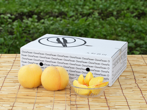 ＜超希少品種＞【桃：スウィート光黄・3kg箱】スウィートな旨さが自慢の黄桃