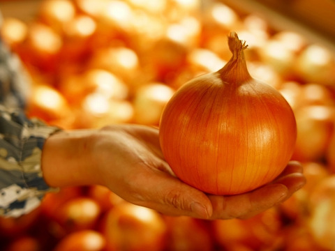 【今だけ！数量限定】大人気♪グリーンボール２玉と特別栽培淡路島玉ねぎ5キロ