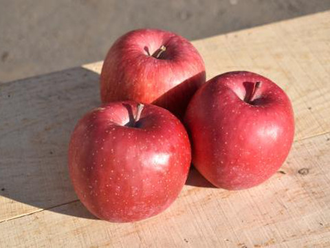 【数量限定】真っ赤な完熟🍎葉取らずサンふじ（秀品）贈り物にも◎（4～5㎏）