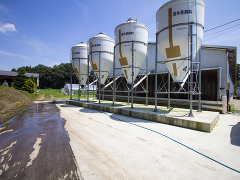 濃厚！希少品種『ネラ』の黒鶏（くろどり）の卵（30個入）