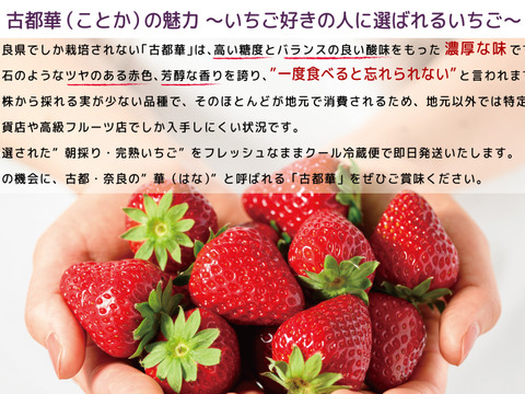 ”完熟いちご 古都華” 8～15粒（270～320ｇ）×2パック　贈答用ギフトケース入り