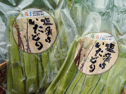 【冷凍】シャキシャキ山菜　高知県産 塩漬けイタドリ（250g×２袋）