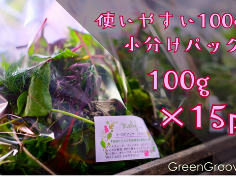 違いはわかります！G20サミット採用サラダ！10種のヨーロピアンリーフミックス【100gパック×15p】▲月・火・水・木着専用▲